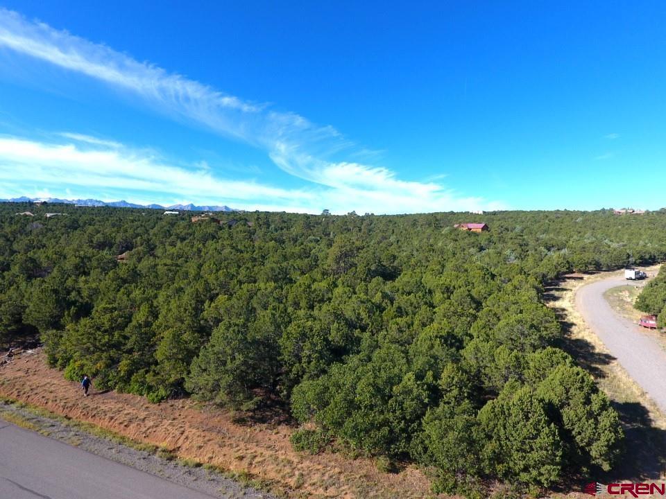 Lot 13 Ponderosa Drive Ridgway CO 81432