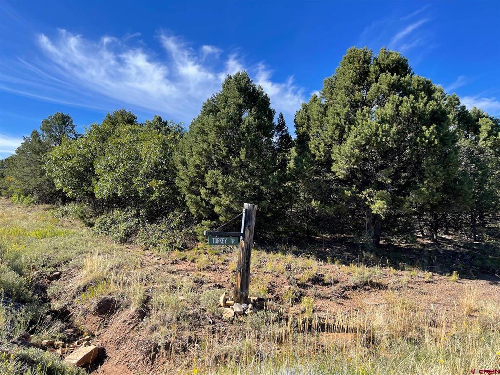 Lot 13 Ponderosa Drive Ridgway CO 81432