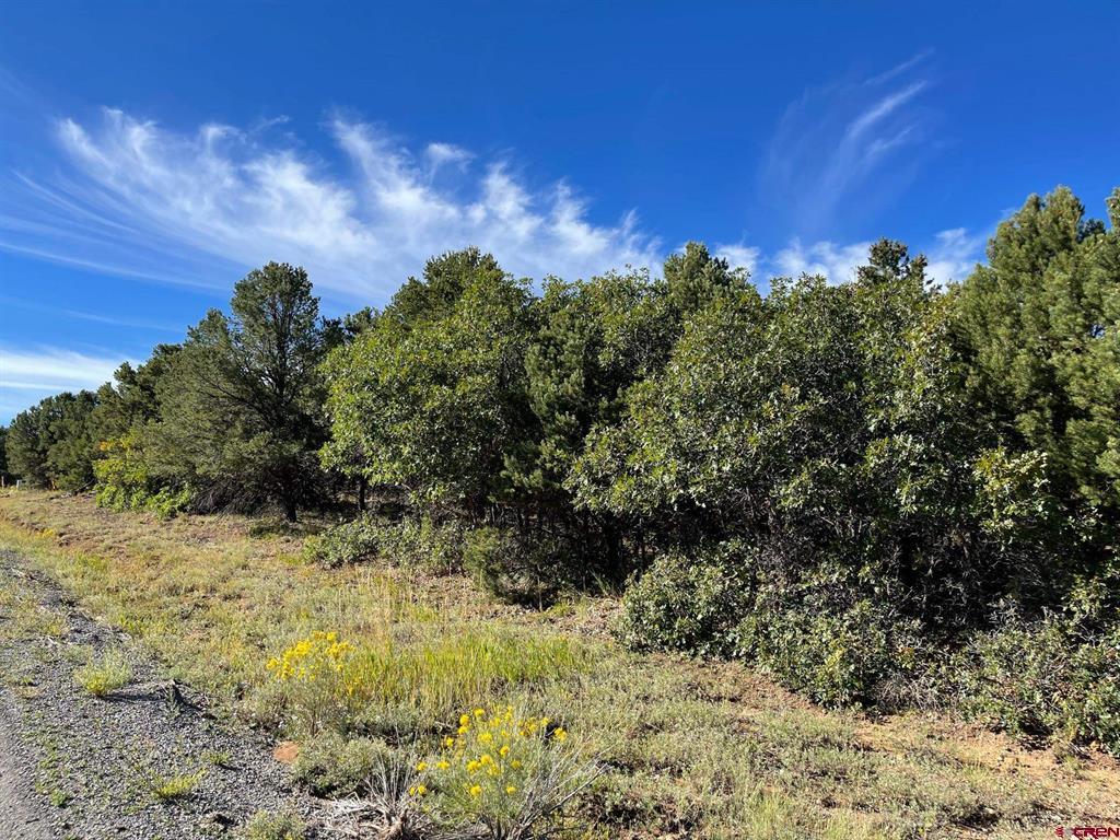 Lot 13 Ponderosa Drive Ridgway CO 81432