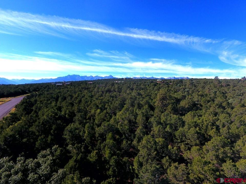 Lot 13 Ponderosa Drive Ridgway CO 81432