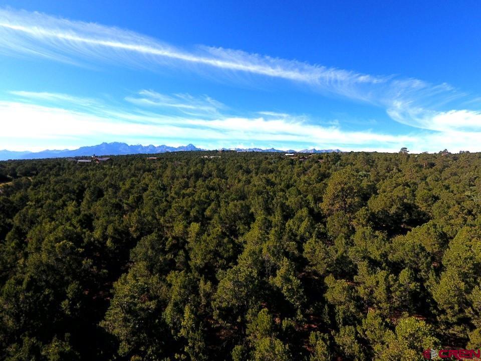 Lot 13 Ponderosa Drive Ridgway CO 81432