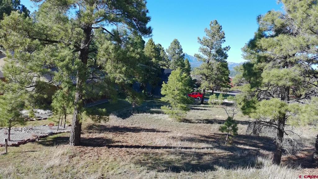 447 Oakwood Circle Pagosa Springs CO 81147