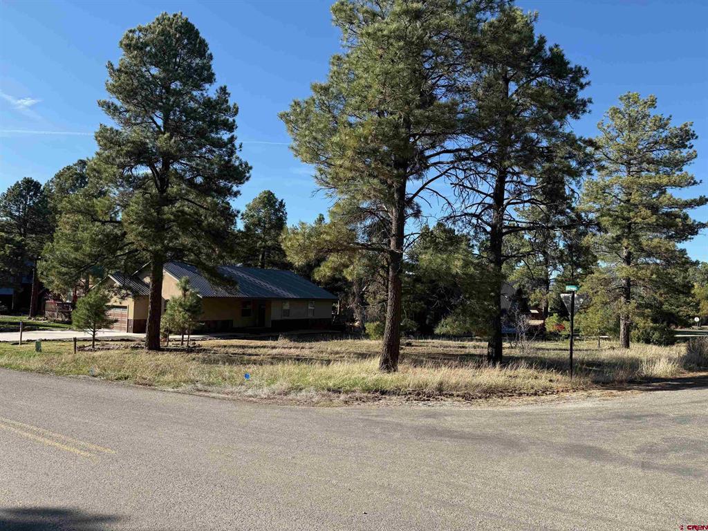 447 Oakwood Circle Pagosa Springs CO 81147