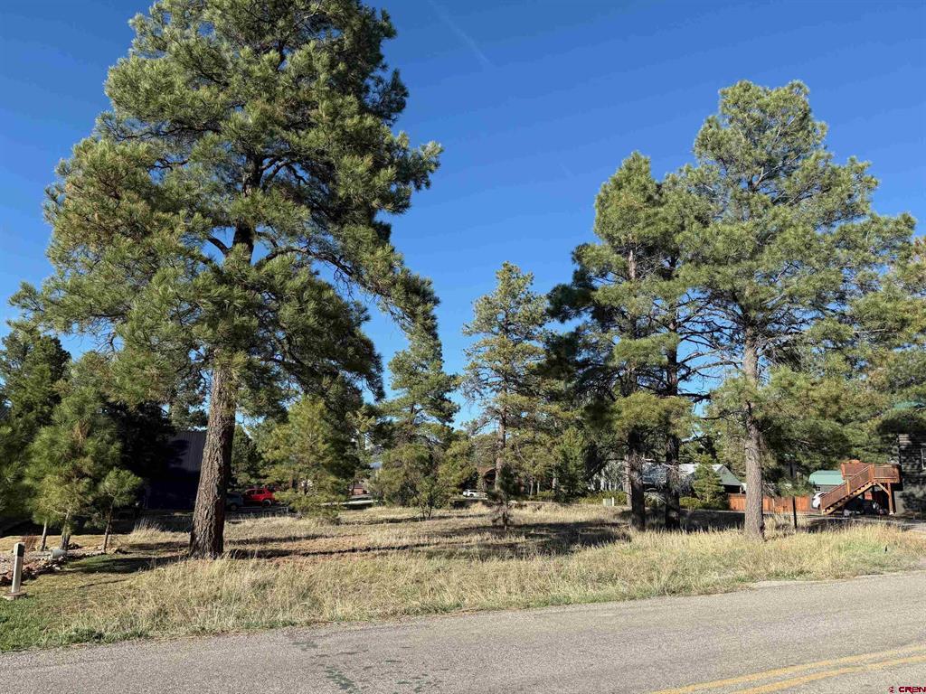 447 Oakwood Circle Pagosa Springs CO 81147