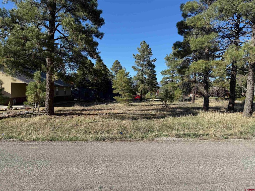 447 Oakwood Circle Pagosa Springs CO 81147