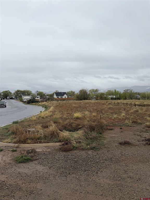 Tbd Chisholm Place And Jarret Avenue Cortez CO 81321