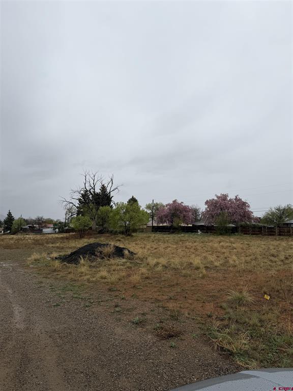 Tbd Chisholm Place And Jarret Avenue Cortez CO 81321