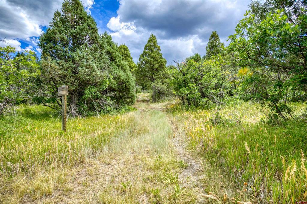 1742 Roush Drive Pagosa Springs CO 81147