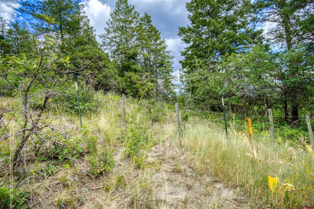 1742 Roush Drive Pagosa Springs CO 81147