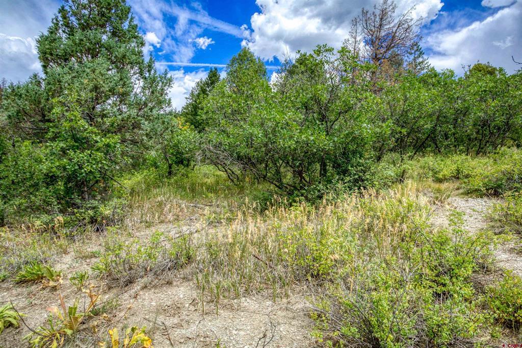 1742 Roush Drive Pagosa Springs CO 81147