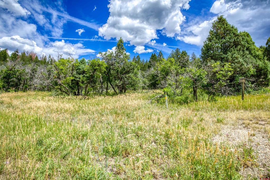 1742 Roush Drive Pagosa Springs CO 81147