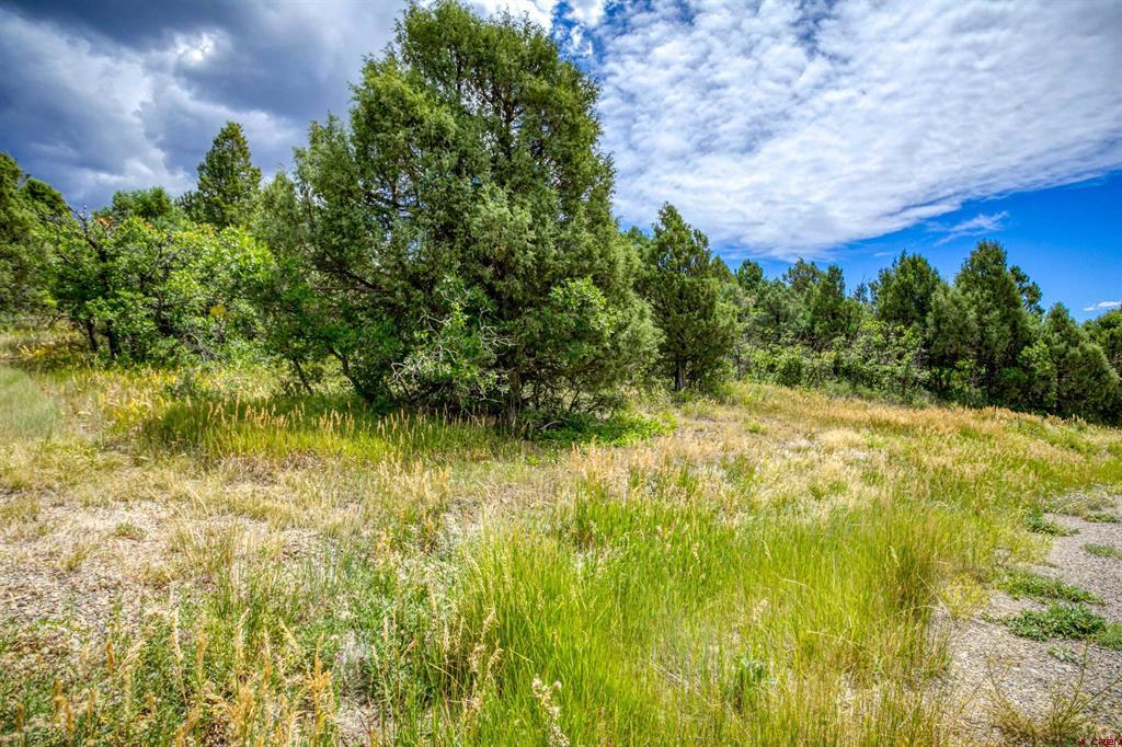 1742 Roush Drive Pagosa Springs CO 81147