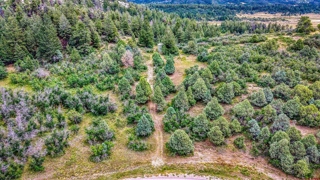1742 Roush Drive Pagosa Springs CO 81147