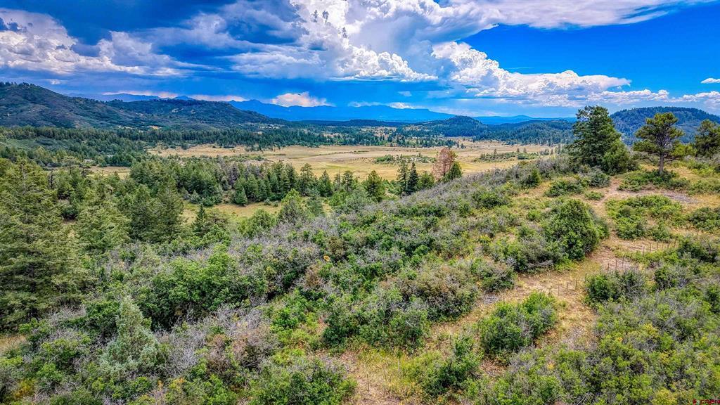1742 Roush Drive Pagosa Springs CO 81147