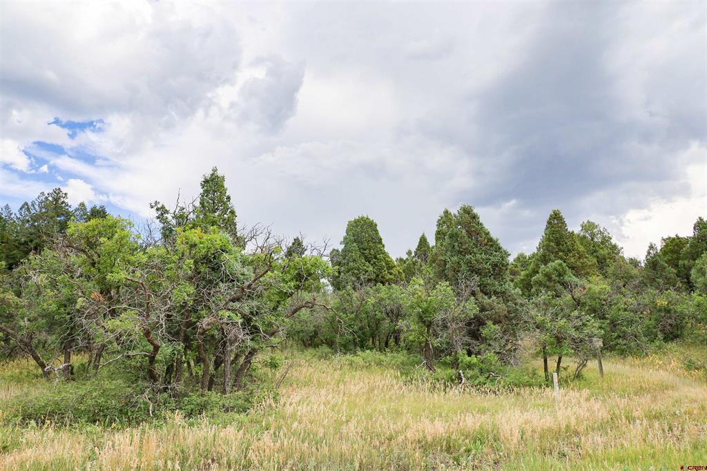 1742 Roush Drive Pagosa Springs CO 81147