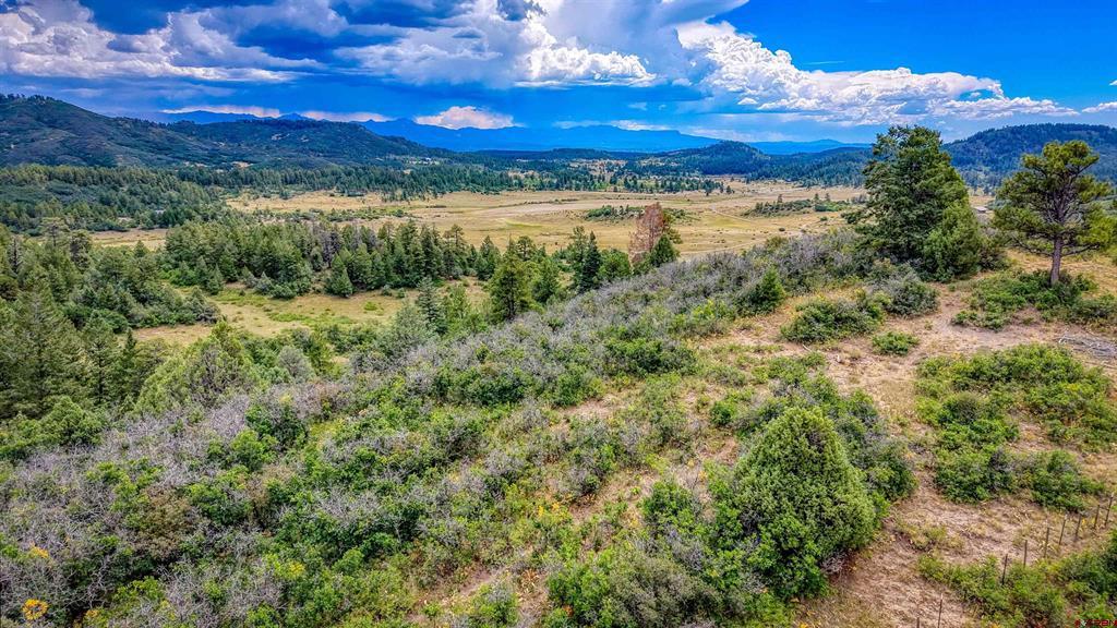 1742 Roush Drive Pagosa Springs CO 81147