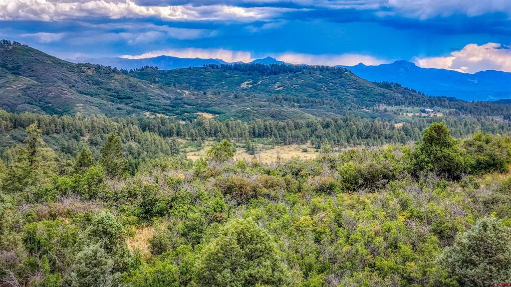 1742 Roush Drive Pagosa Springs CO 81147