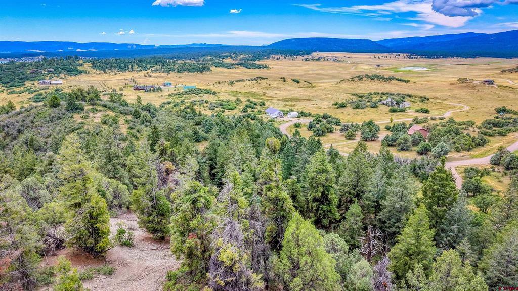 1742 Roush Drive Pagosa Springs CO 81147