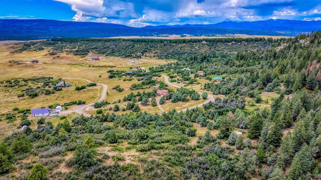 1742 Roush Drive Pagosa Springs CO 81147