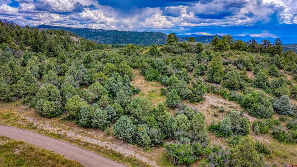 1742 Roush Drive Pagosa Springs CO 81147
