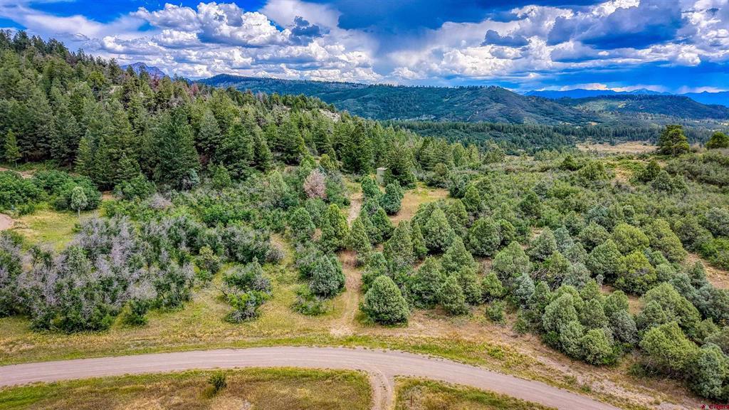 1742 Roush Drive Pagosa Springs CO 81147