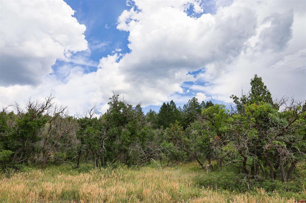 1742 Roush Drive Pagosa Springs CO 81147