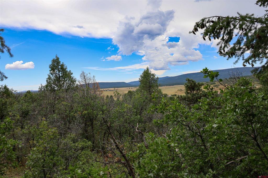 1742 Roush Drive Pagosa Springs CO 81147