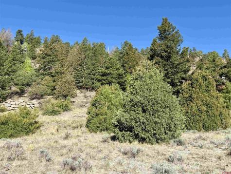 1280 Rio Grande Club Trail South Fork CO 81154