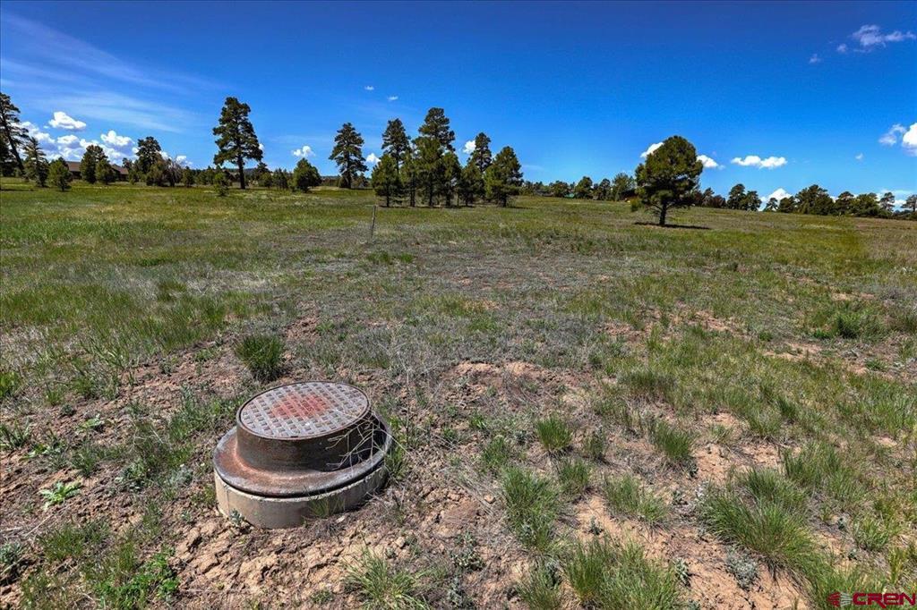 84 Vista San Juan Pagosa Springs CO 81147