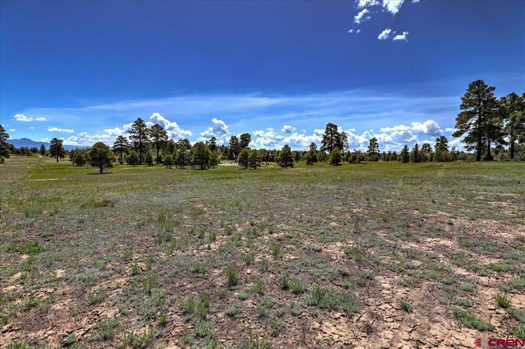 84 Vista San Juan Pagosa Springs CO 81147