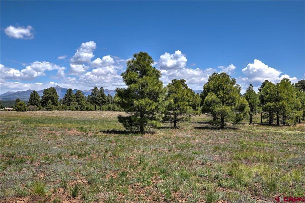 84 Vista San Juan Pagosa Springs CO 81147