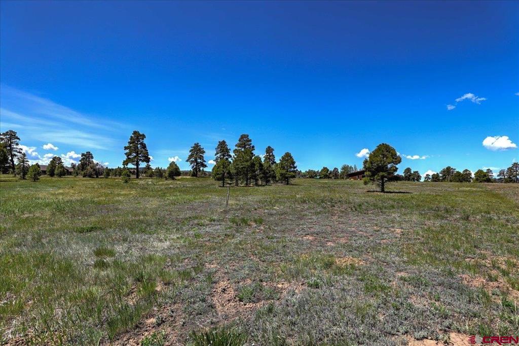 84 Vista San Juan Pagosa Springs CO 81147