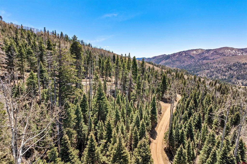 210 Grizzly Lane Durango CO 81301