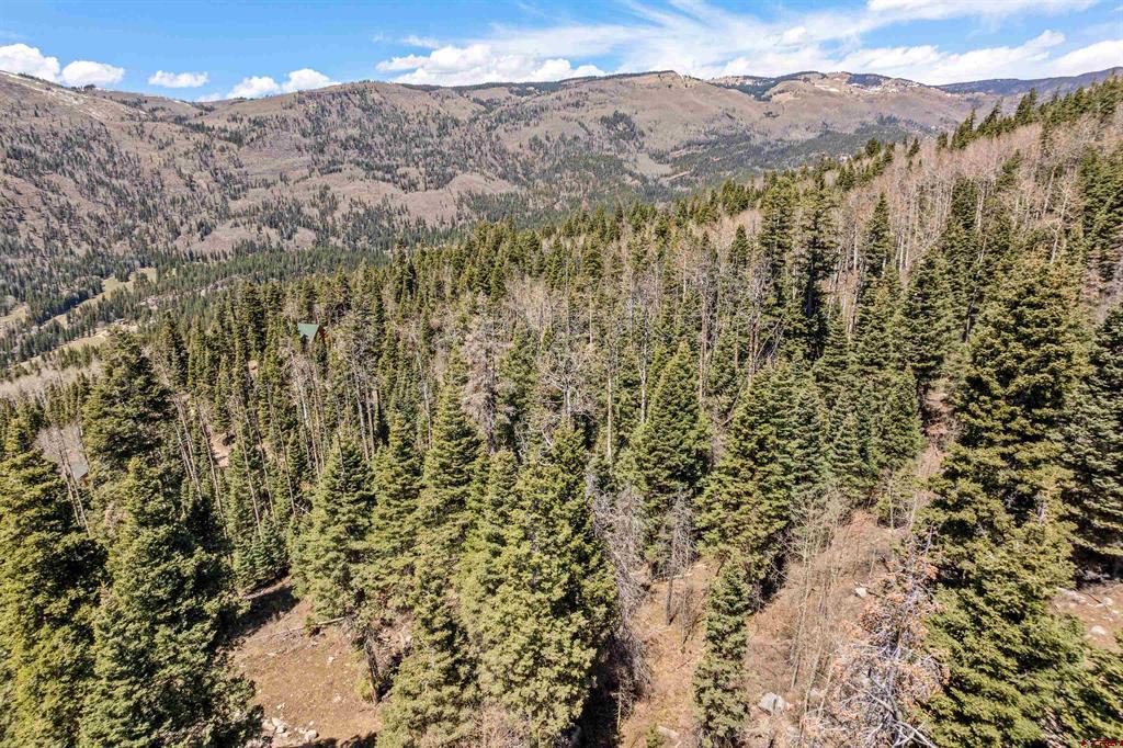 210 Grizzly Lane Durango CO 81301