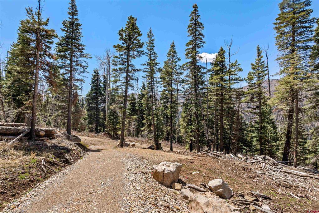 210 Grizzly Lane Durango CO 81301