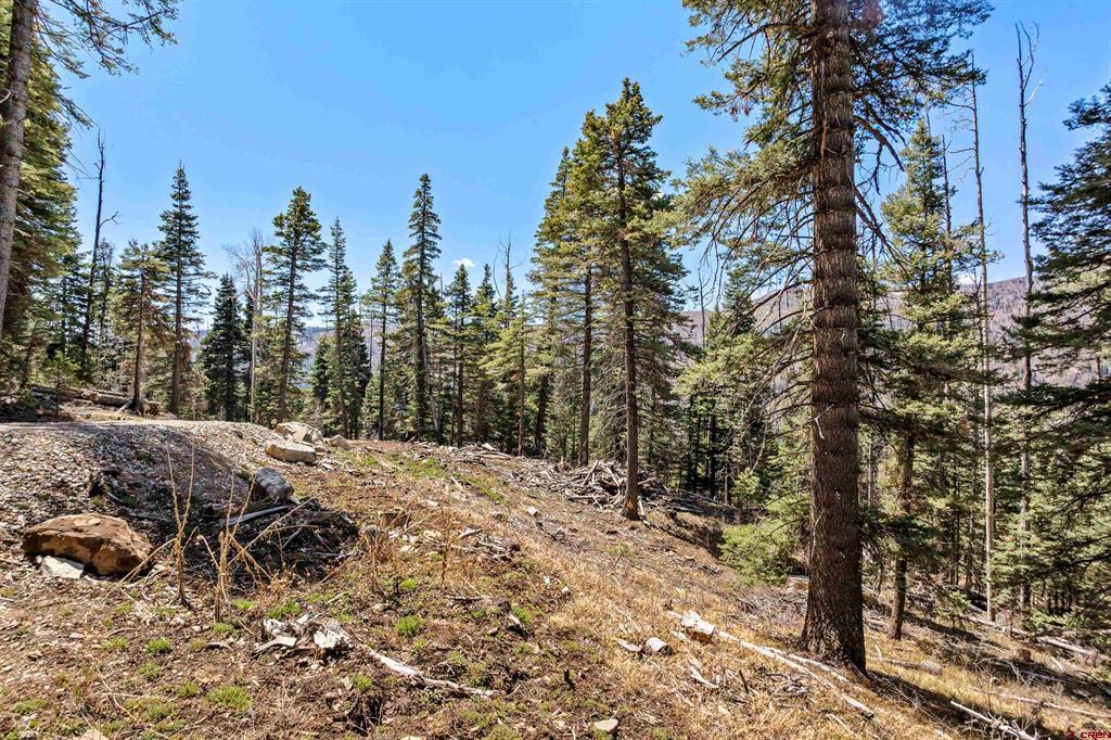 210 Grizzly Lane Durango CO 81301