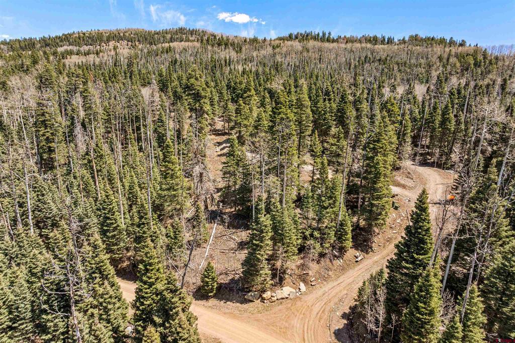 210 Grizzly Lane Durango CO 81301