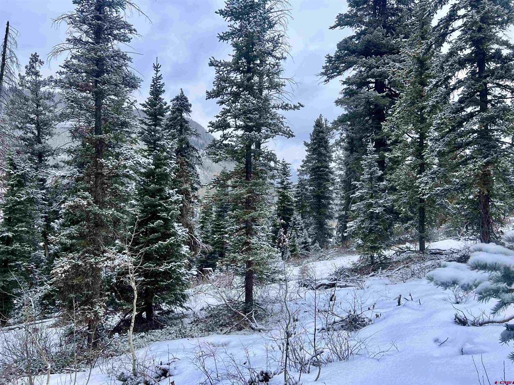 273 Snowden Drive Durango CO 81301