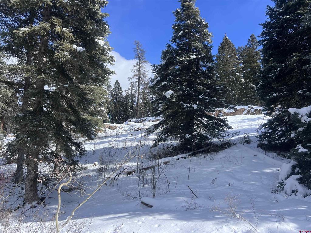 273 Snowden Drive Durango CO 81301