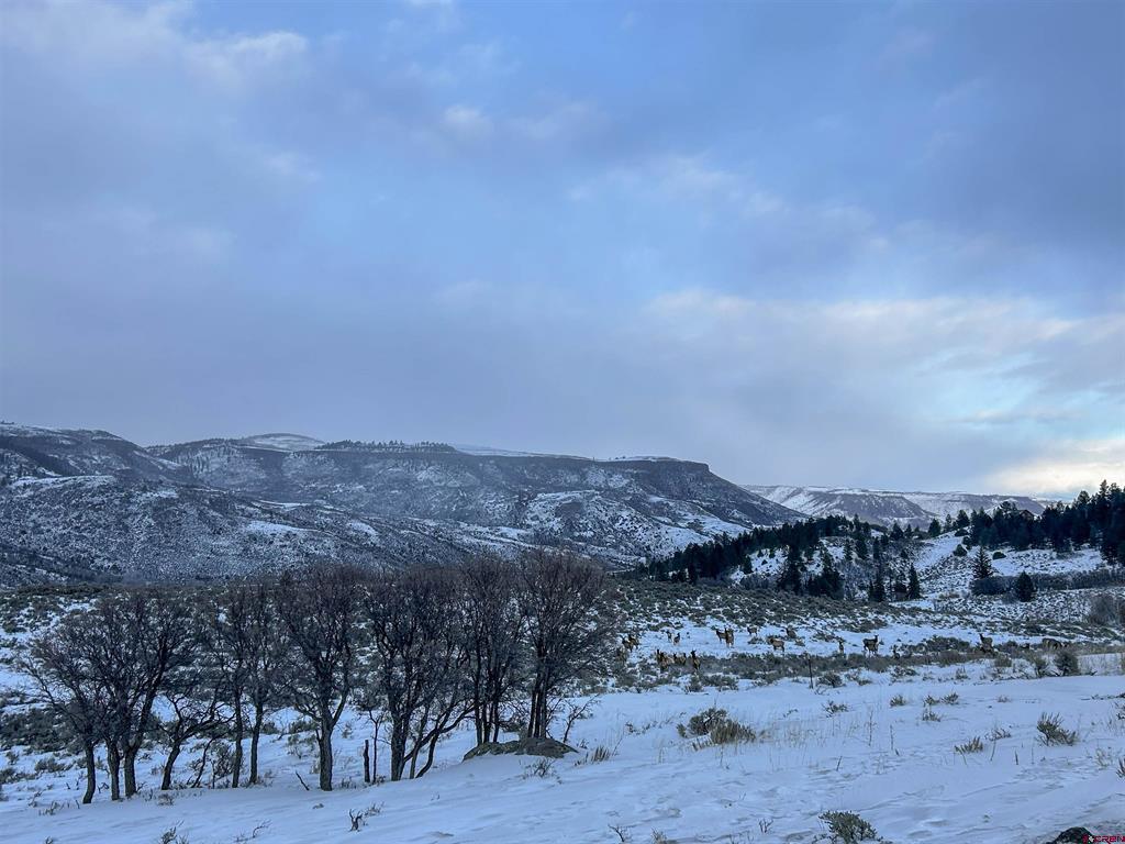 Tbd Us Highway 50 Highway Gunnison CO 81230