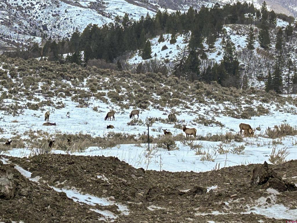 Tbd Us Highway 50 Highway Gunnison CO 81230