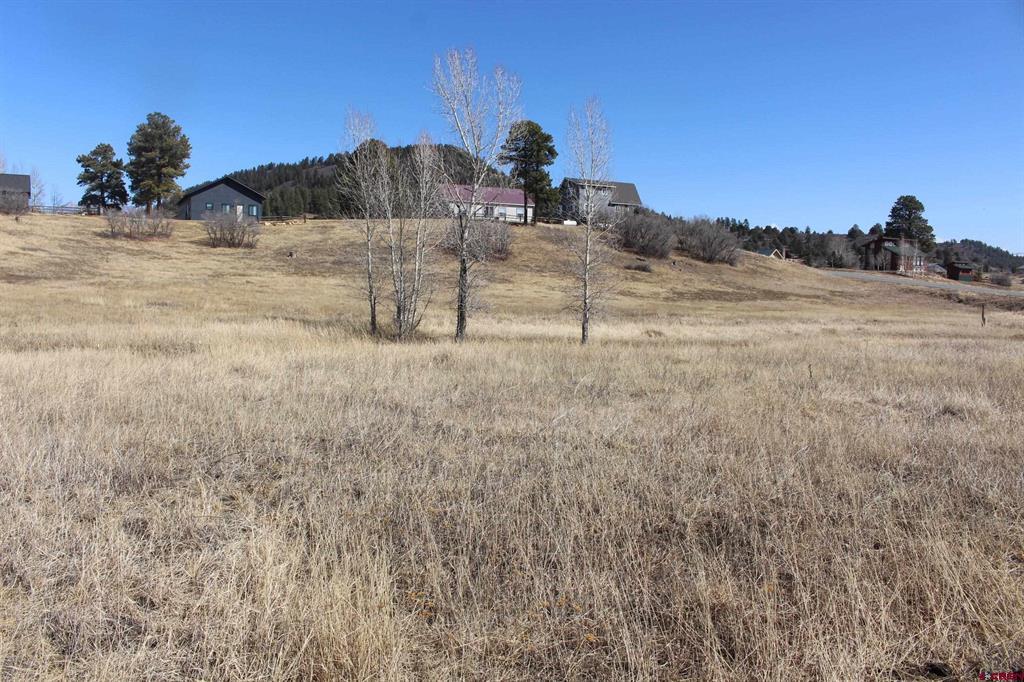 1572 Hills Circle Pagosa Springs CO 81147