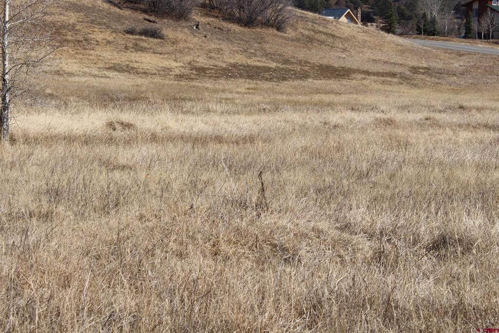 1572 Hills Circle Pagosa Springs CO 81147