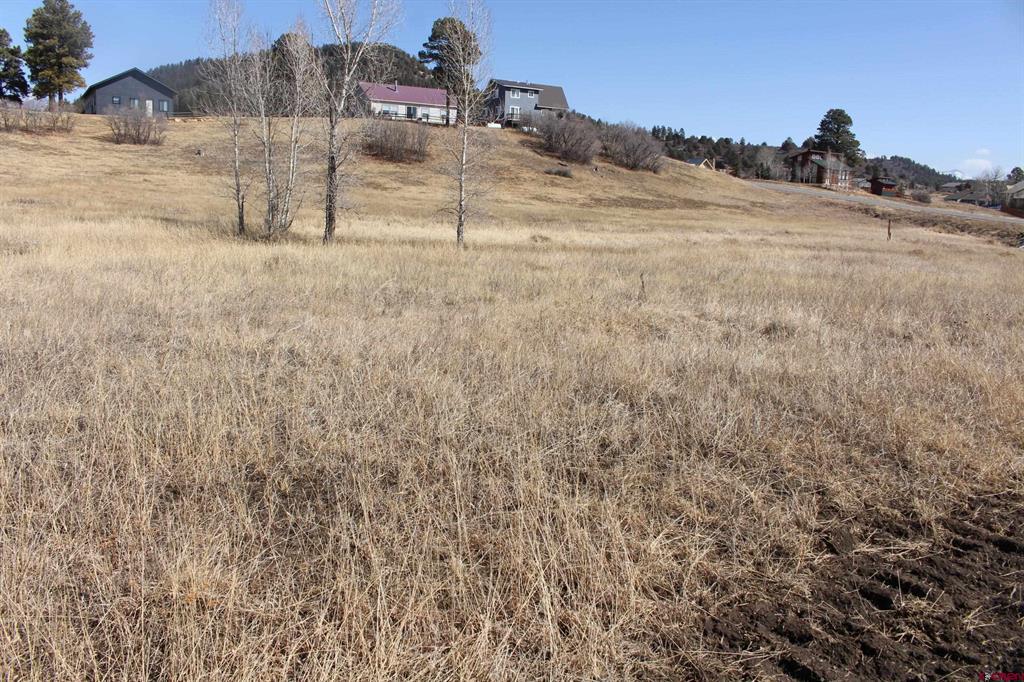 1572 Hills Circle Pagosa Springs CO 81147