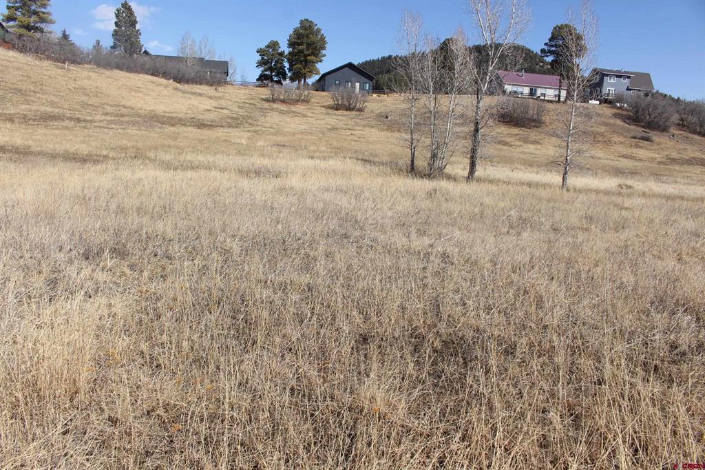 1572 Hills Circle Pagosa Springs CO 81147