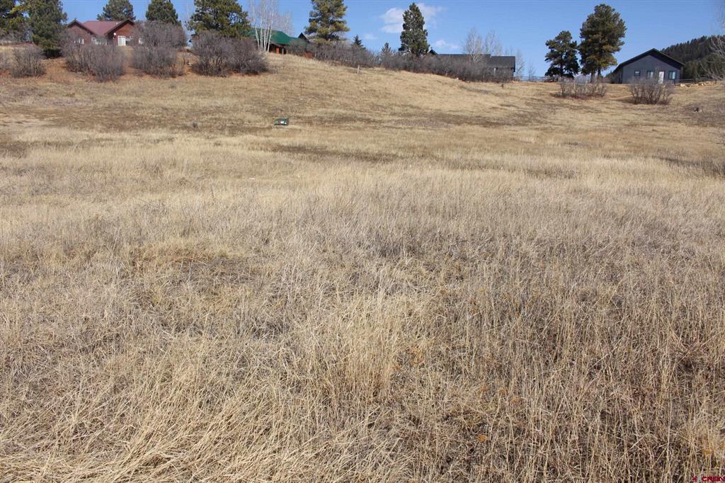 1572 Hills Circle Pagosa Springs CO 81147