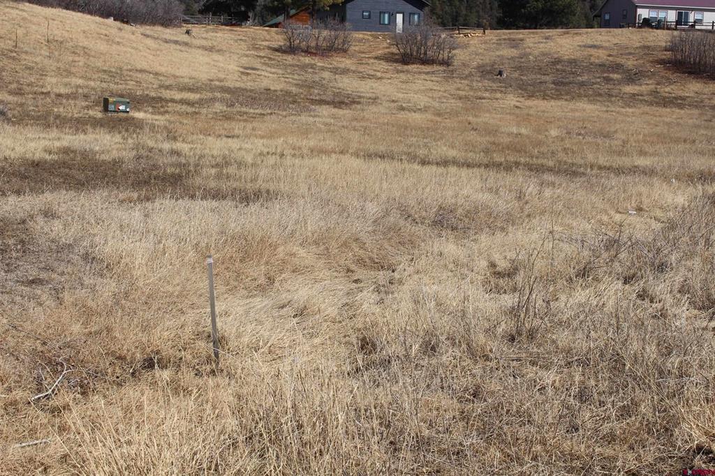 1572 Hills Circle Pagosa Springs CO 81147