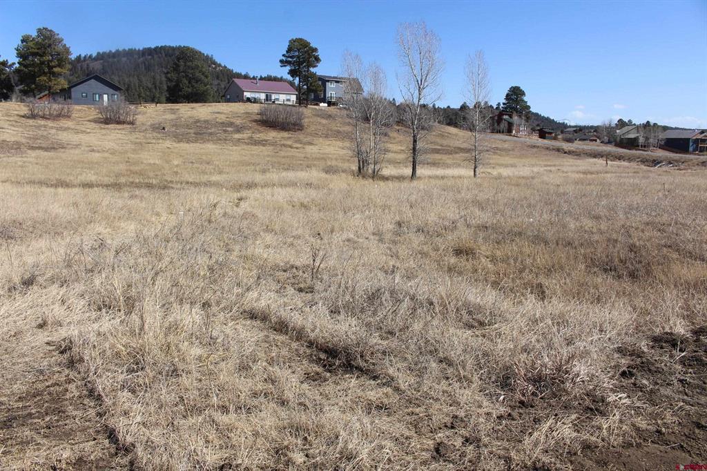 1572 Hills Circle Pagosa Springs CO 81147