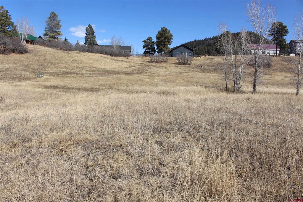 1572 Hills Circle Pagosa Springs CO 81147