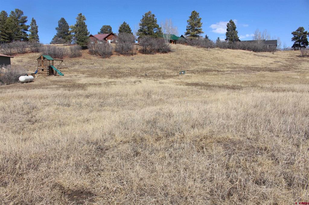 1572 Hills Circle Pagosa Springs CO 81147